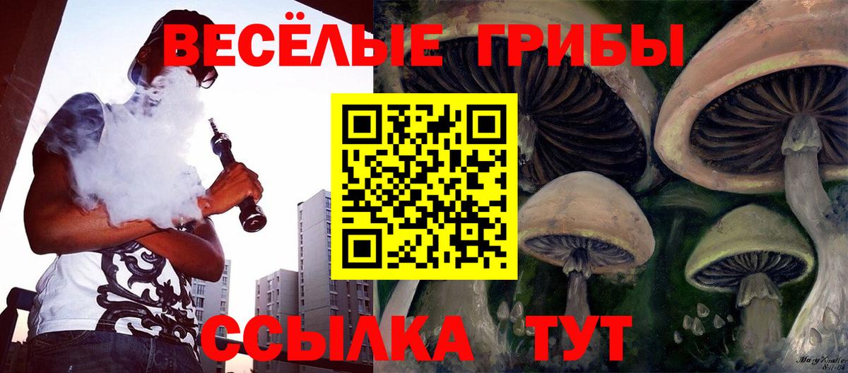 Ишим  Галлюциногенные грибы мухоморы  Вход с VPN  Галлюциногенные грибы Magic Shrooms 